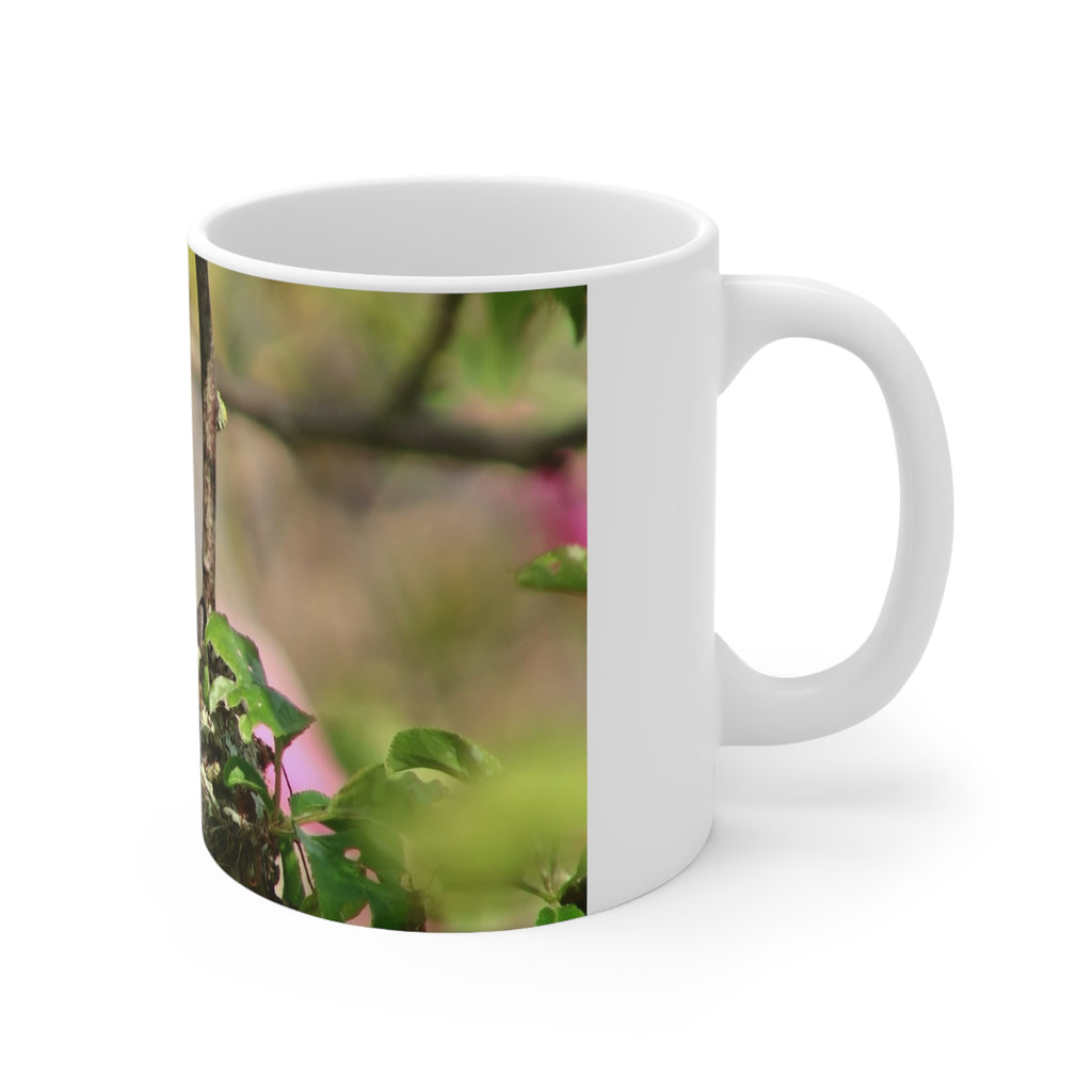 Coffee Mugs - Sweetiebird Anna's Hummingbird Nest Feeding Design