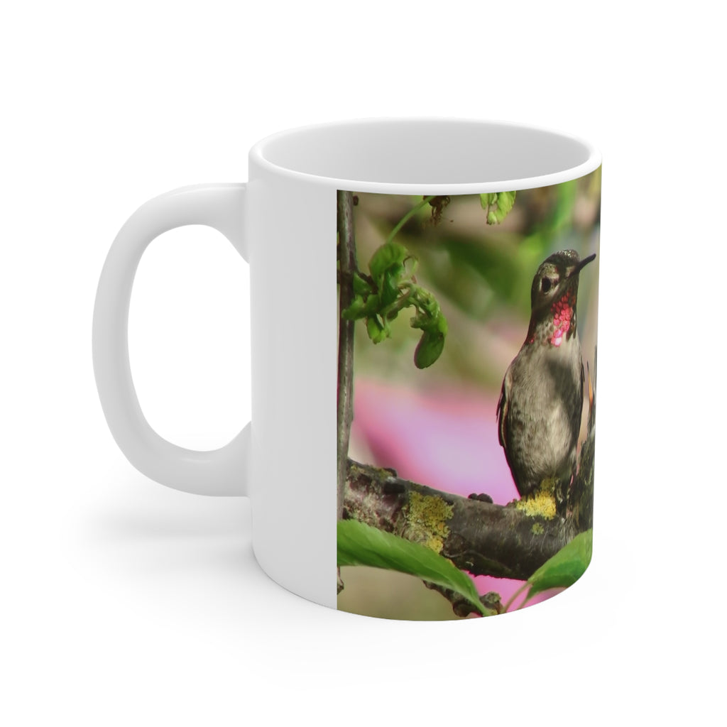 Coffee Mugs - Sweetiebird Anna's Hummingbird Nest Feeding Design